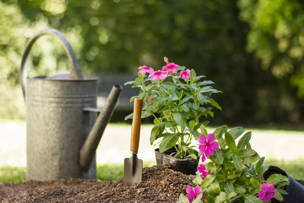 Plantation Jardin